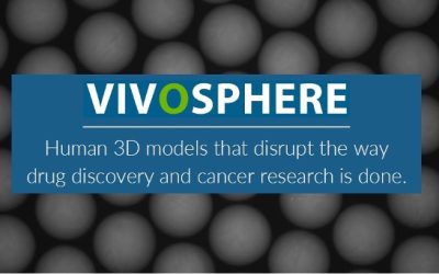VivoSphere’s Patented Tissue Engineering Technologies Drive Scalable Production of Cancer for Disease Modeling and Therapeutic Drug Testing