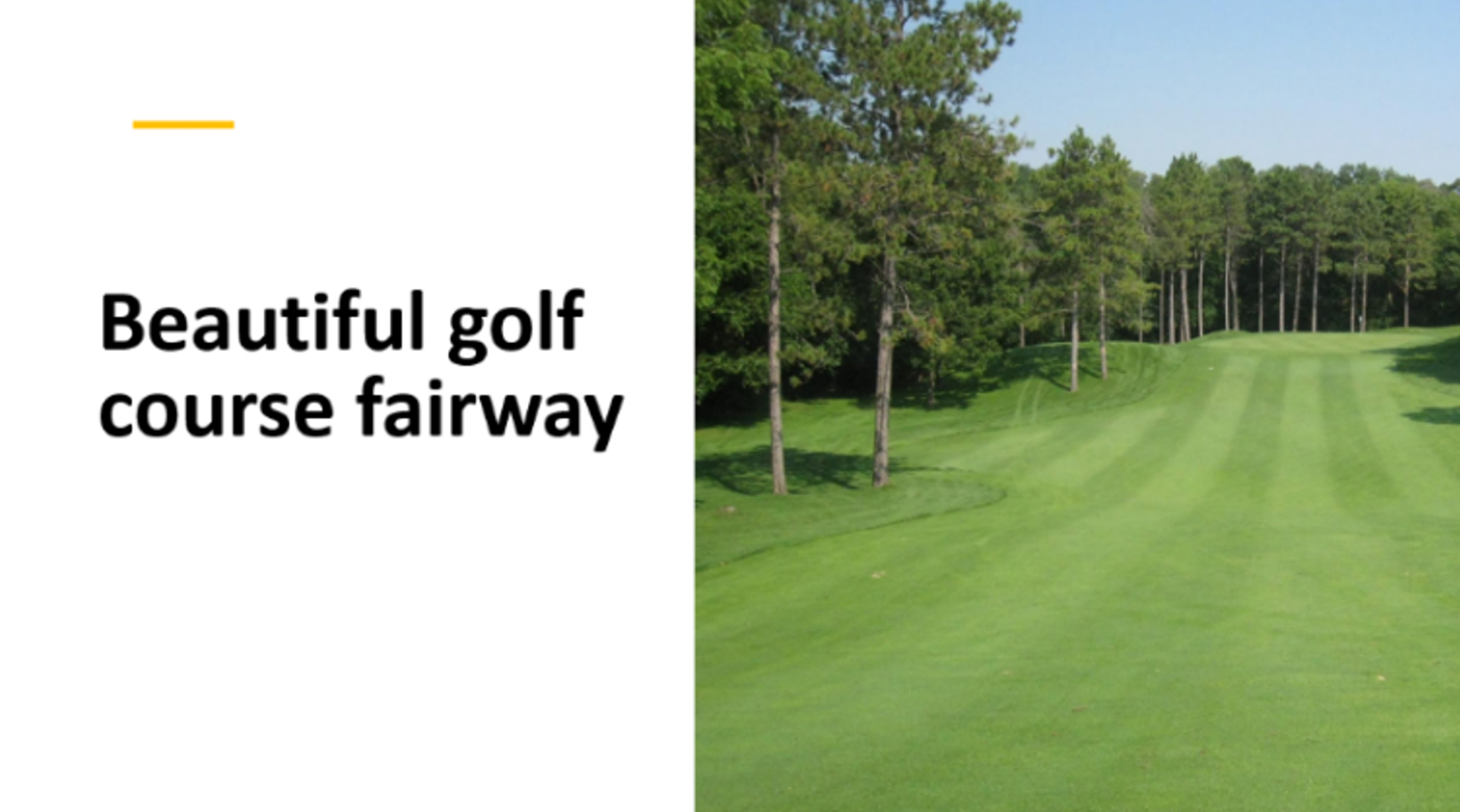 Golf course fairway